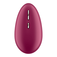 Satisfyer Spot On 1 oplegvibrator in bessentint, recht van achteren gefotografeerd op witte achtergrond