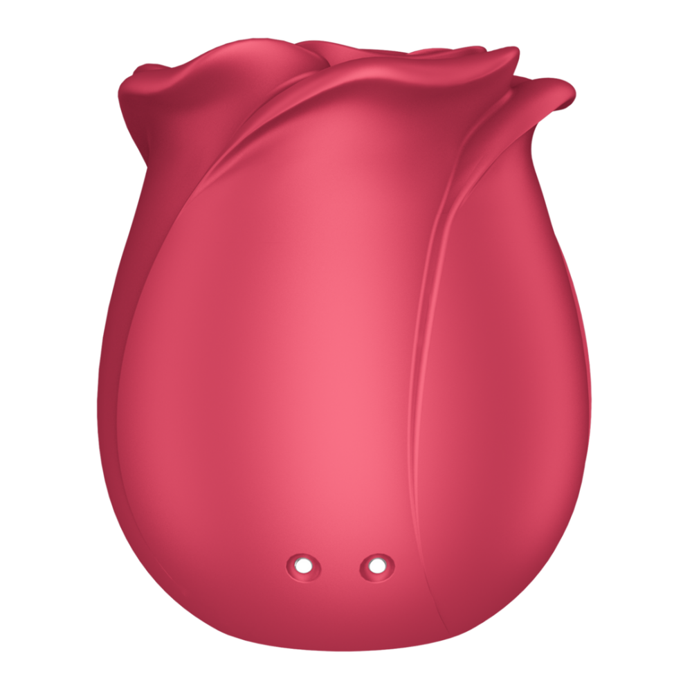 Satisfyer Pro 2 - Classic Rose - Air Pulse Vibrator | Satisfyer