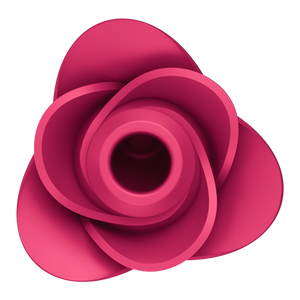 Satisfyer Pro 2 – Modern Rose – Air Pulse Vibrator | Befriediger