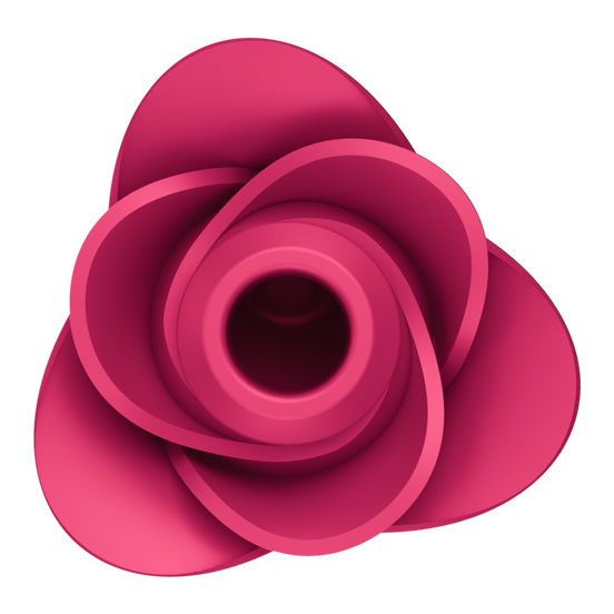 Satisfyer Pro 2 – Modern Rose – Air Pulse Vibrator | Befriediger