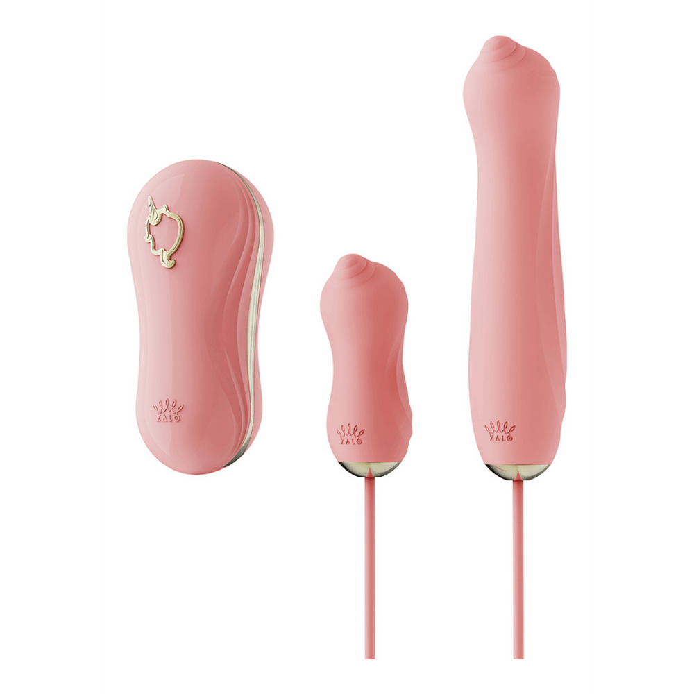 ZALO zuigvibrator met pomp van siliconen, roze set met opzetstukken en snoer, productoverzicht op witte achtergrond