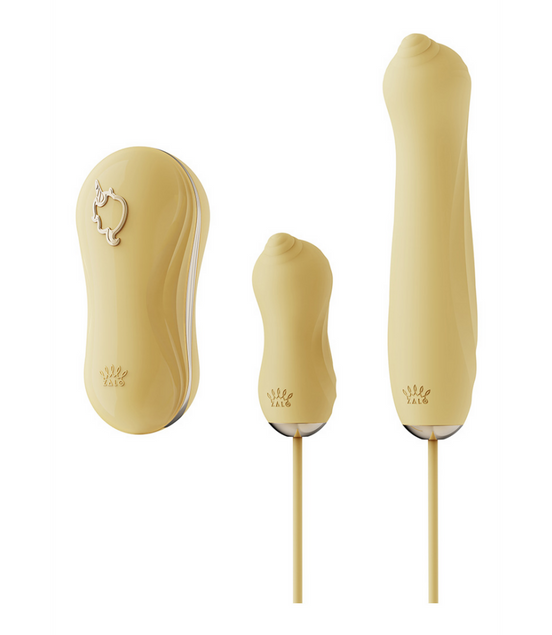 Sucking Vibrator with Pump and Different Attachments