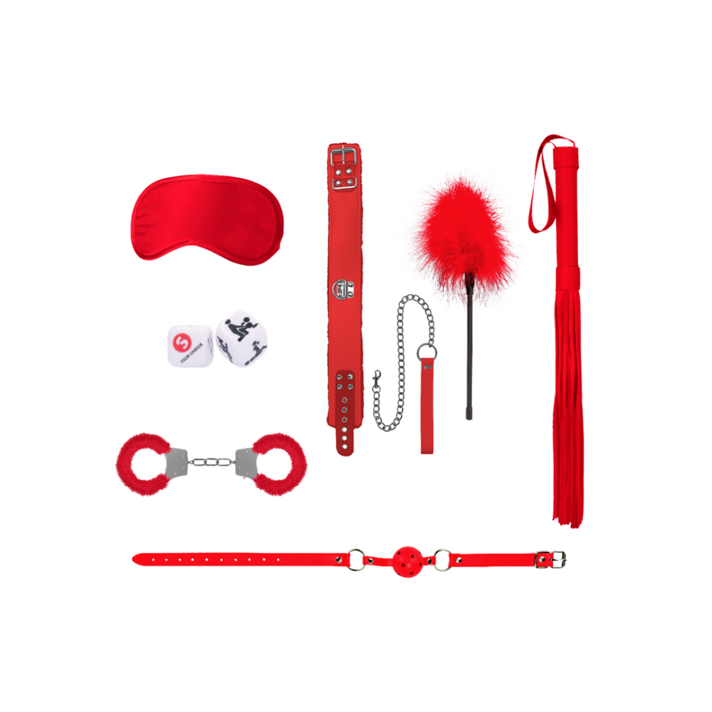 Rotes Bondage-Set mit Halsband, Leine und Ballknebel | Verführerisches BDSM-Set