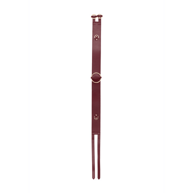 Verticale rode strap van de tailleband met metalen ringdetail voor stevige grip en elegante bondage styling