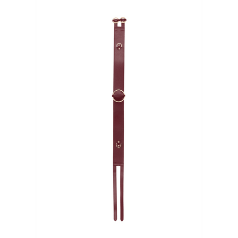Verticale rode strap van de tailleband met metalen ringdetail voor stevige grip en elegante bondage styling