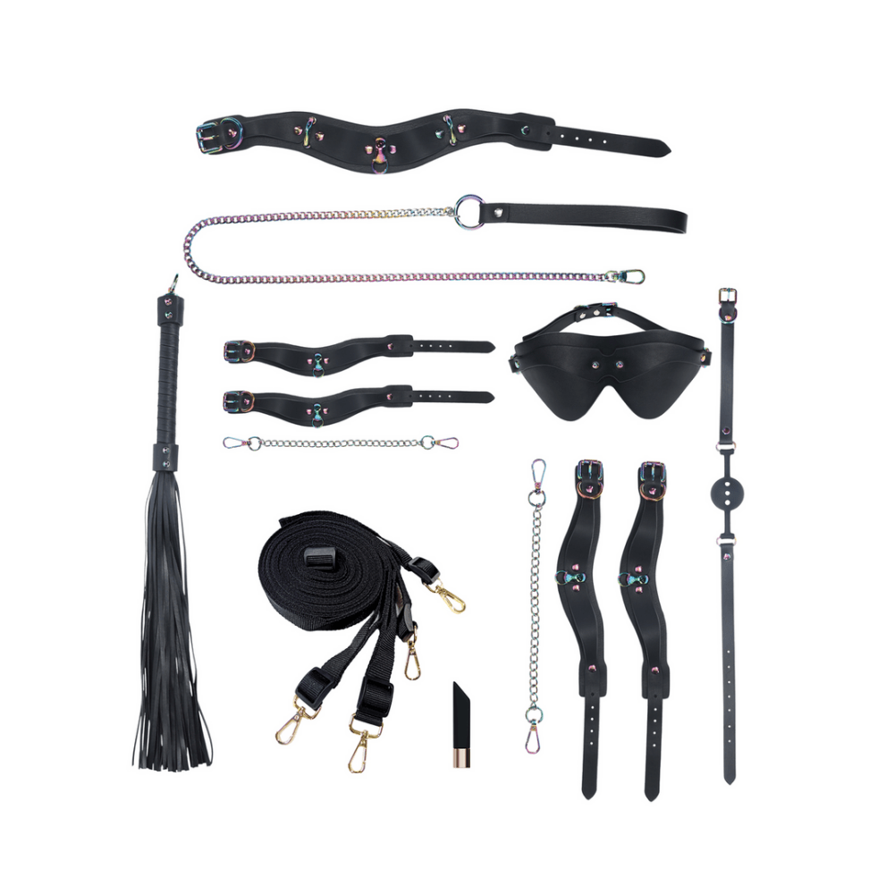 Venice kit tas zwart met complete set accessoires, stijlvol en discreet voor intieme momenten