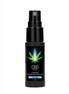 Pharmquests by Shots | CBD Pheromone Stimulator voor Hem 15 ml